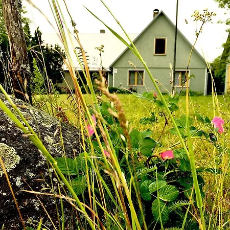 Paadi Puhkemaja بيت للعطل Salinomme
