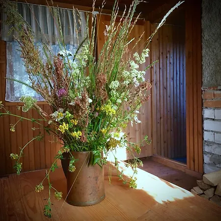 Paadi Puhkemaja Hébergement de vacances *