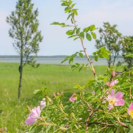 Paadi Puhkemaja