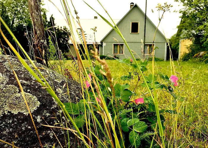 Paadi Puhkemaja Vikendica Salinomme