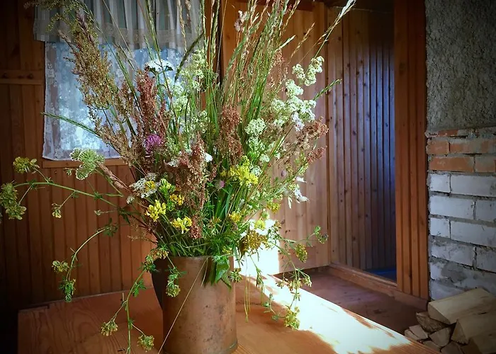 Paadi Puhkemaja Vikendica *